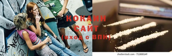 ешки Бронницы
