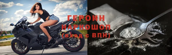 крисы Бородино