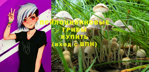 ПСИЛОЦИБИНОВЫЕ ГРИБЫ Бугульма