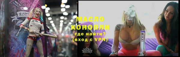 крисы Бородино