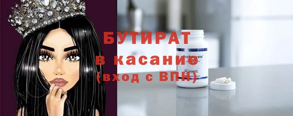 крисы Бородино