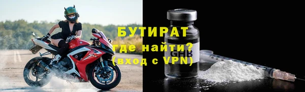 крисы Бородино