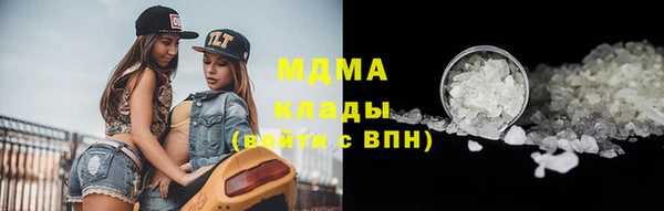 крисы Бородино