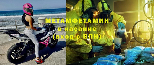 молекула духа Богданович