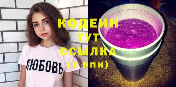 крисы Бородино