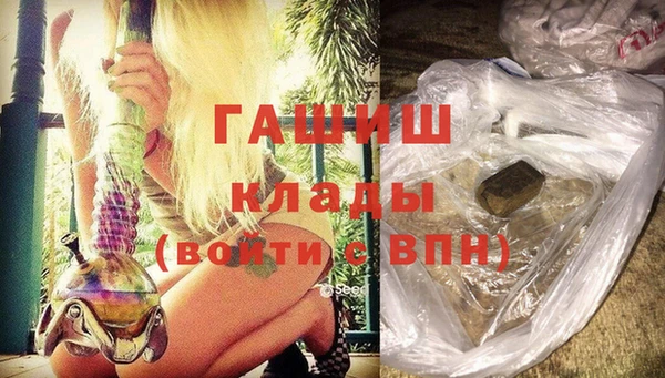 крисы Бородино