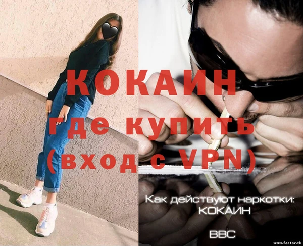крисы Бородино