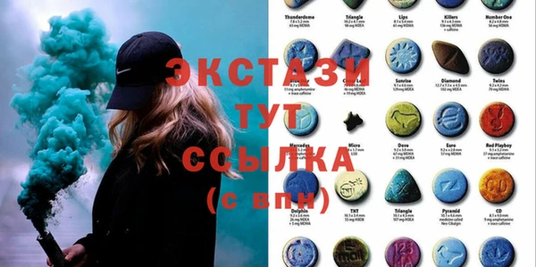 крисы Бородино