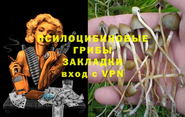 крисы Бородино